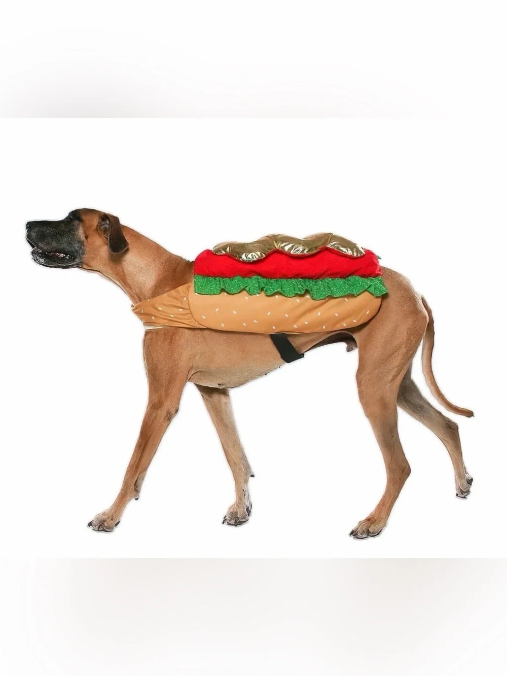 🆕 Hot Dog Costume Pet Size XL Dog (90-150 lbs) Halloween Vibrant Life 1 pc